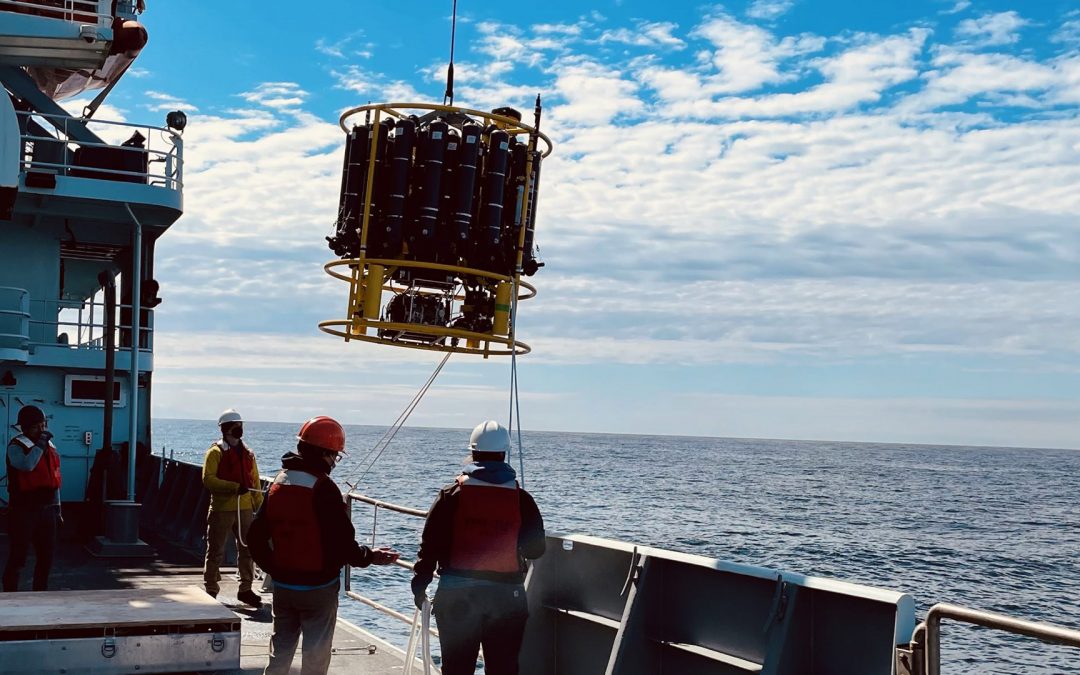 A20 Weekly Update #1