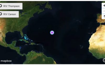 A20 Weekly Update #2