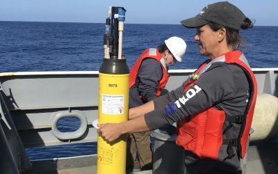 March 29, 2021—Day 14