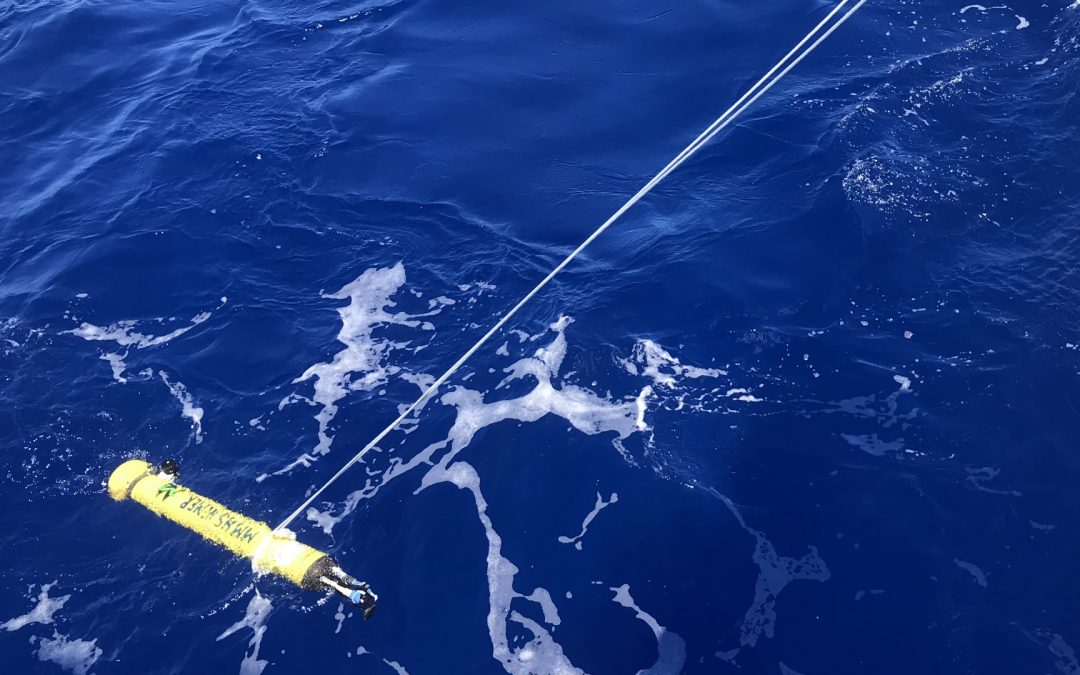 April 4, 2021—Day 20