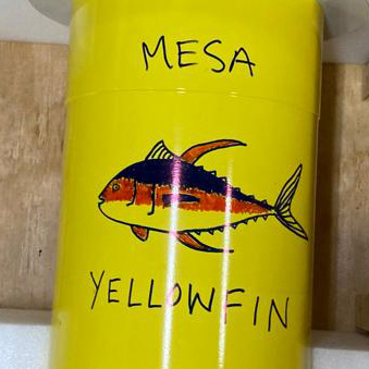 photo of SOCCOM float Mesa Yellowfin - photo by Channing Prend