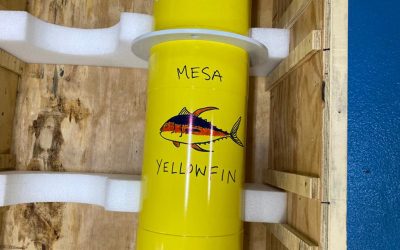 Mesa Yellowfin