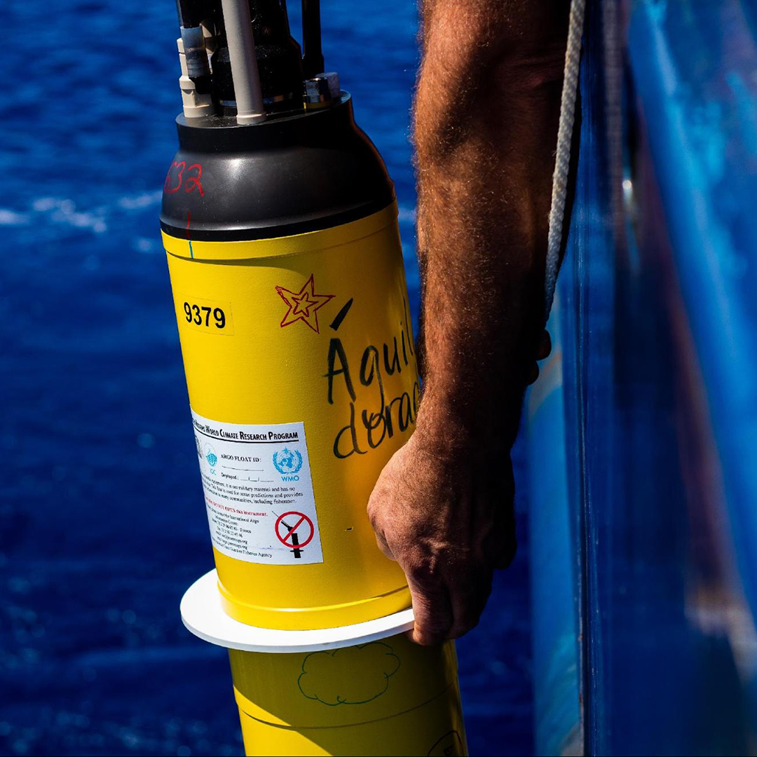 Putting Aguila dorada in water. Photo Credit: Vic Dana