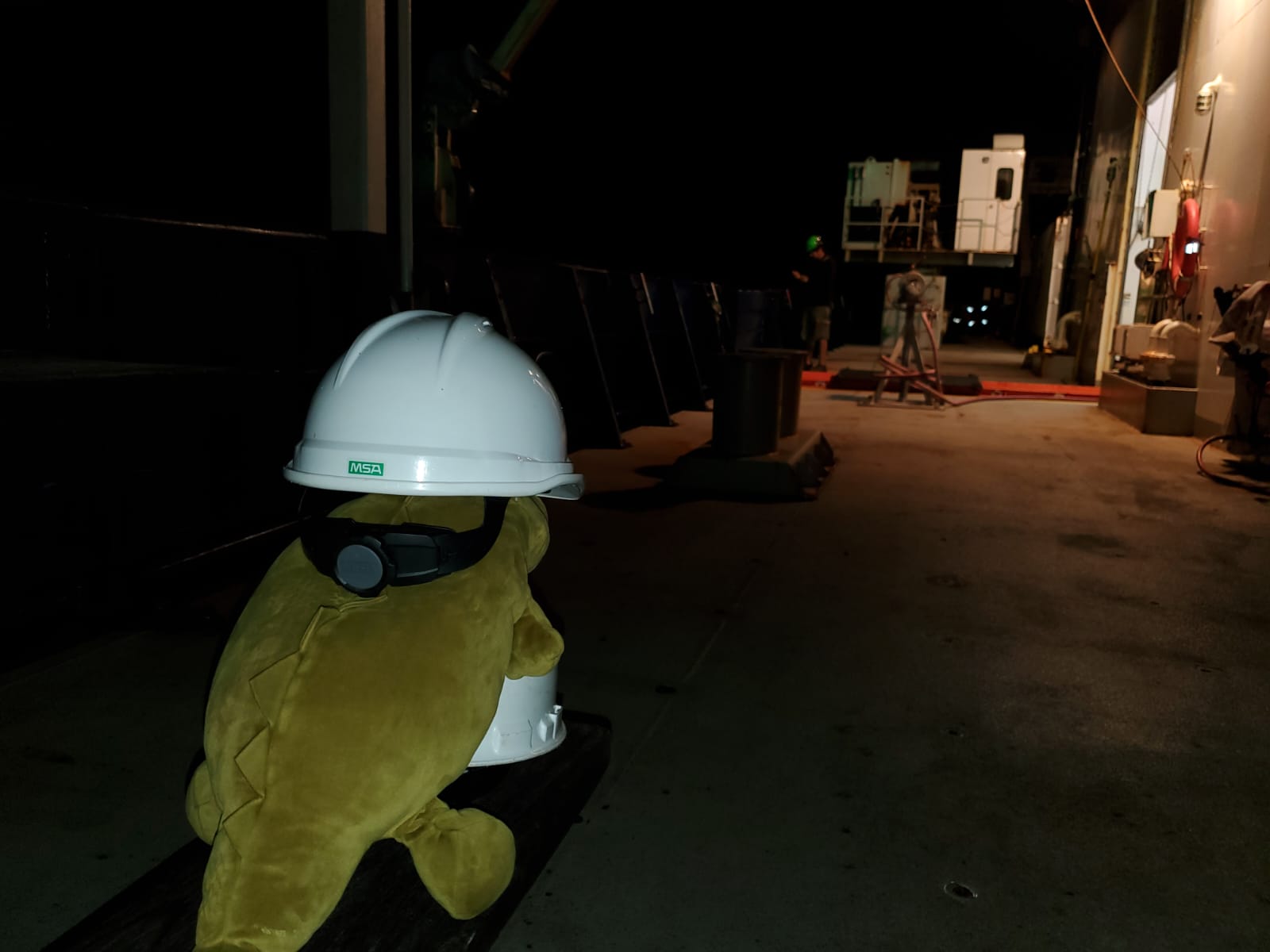 Bill watching the ship crew bring the rosette back on board, safety first though! As you can see even the “Day” shift works when it’s dark. Photo by Vic Dina.