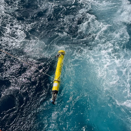 Adopted Float Alfred seen being launched into the water