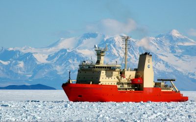 NBP22-11 Introduction