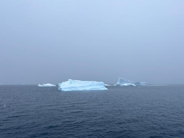 Icebergs floating in a grey sea