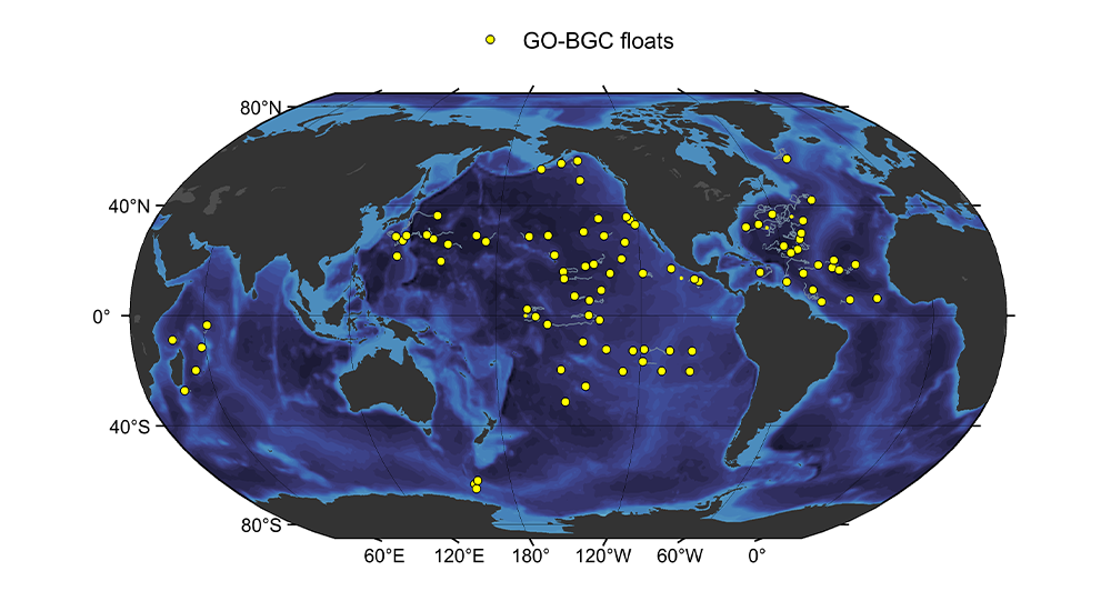 GO-BGC + OCB Webinar Series