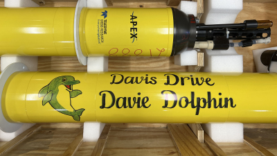 Davie Dolphin