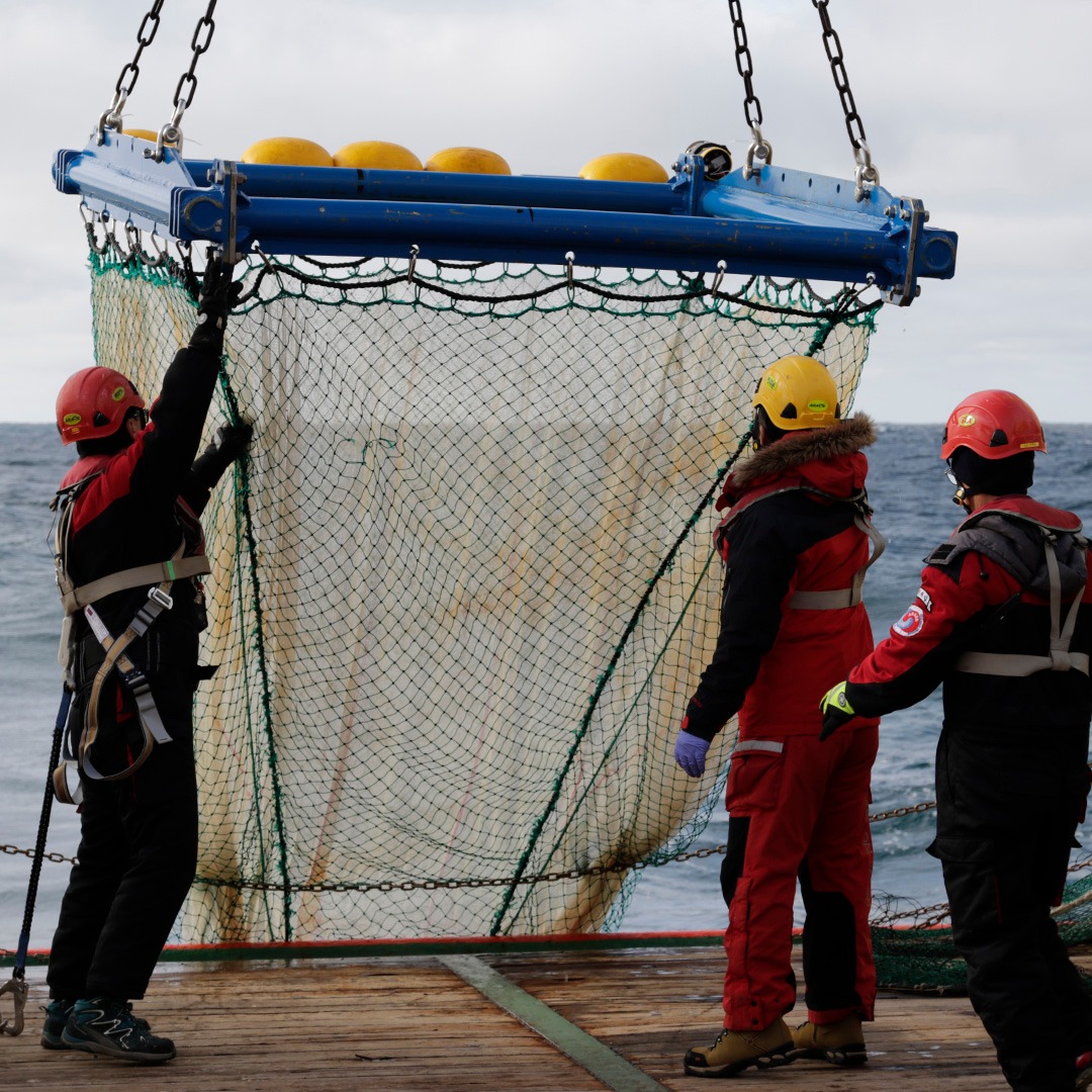photo of the Frame Trawl Net being brought back onboard
