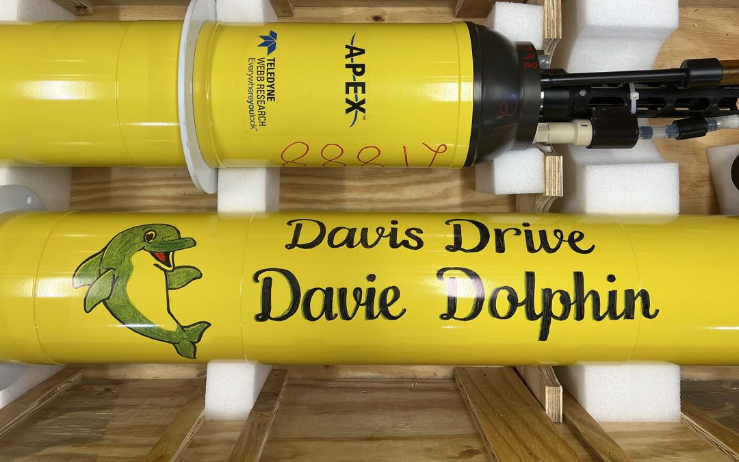 Davie Dolphin