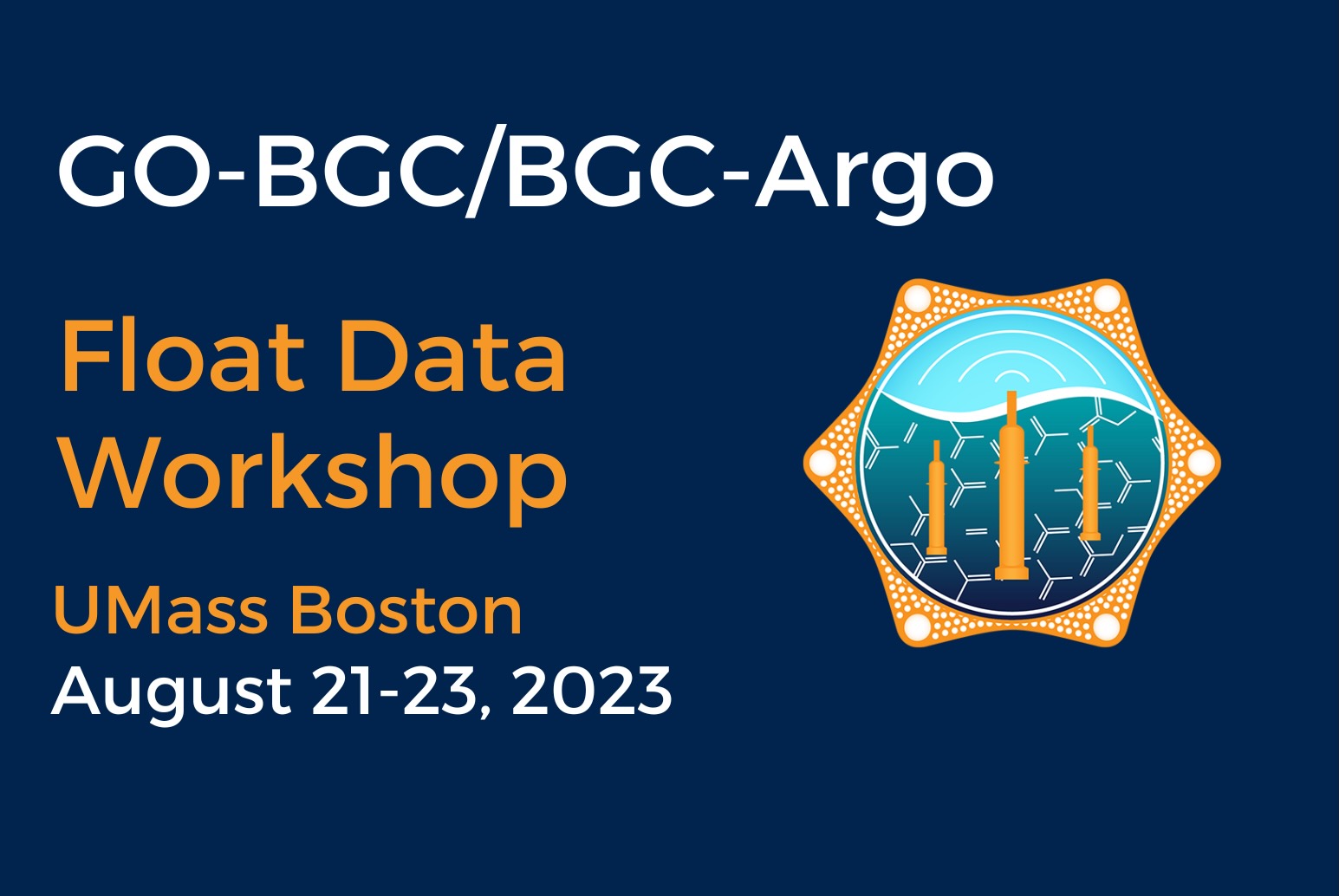 GO-BGC/BGC-Argo Float Data Workshop flyer