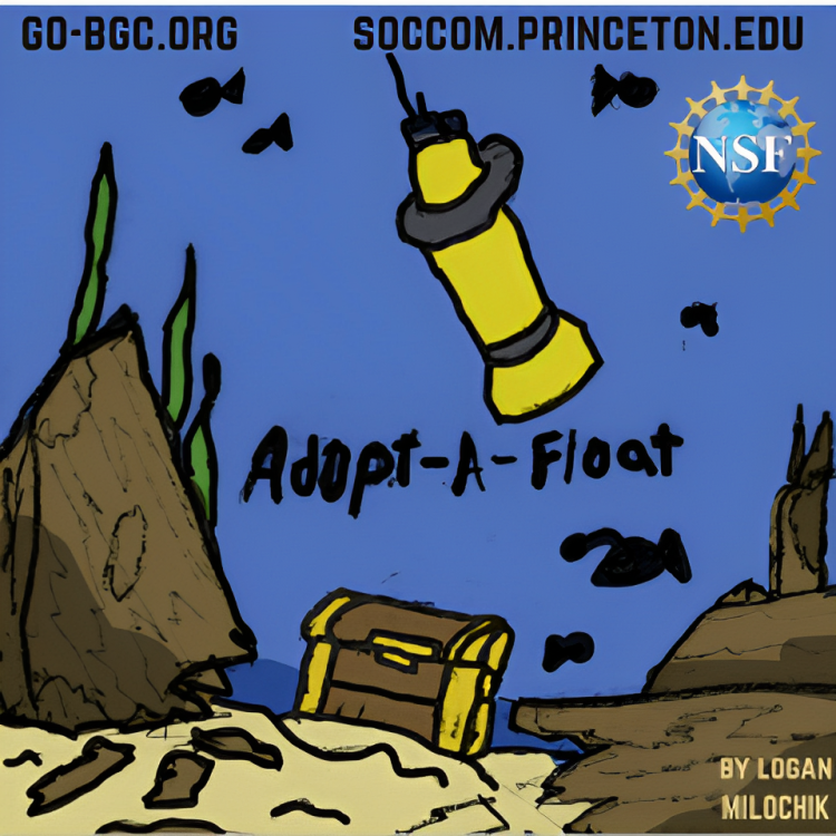 image of float with a treasure chest on the ocean floor and some fish and small seamounts