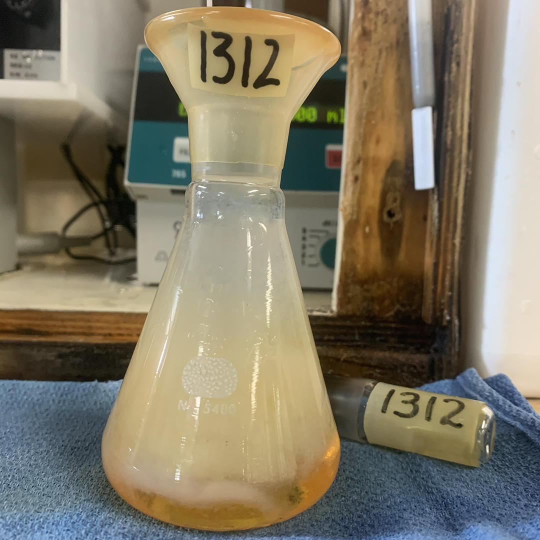 Sample after the acid has been added, still pre-titration