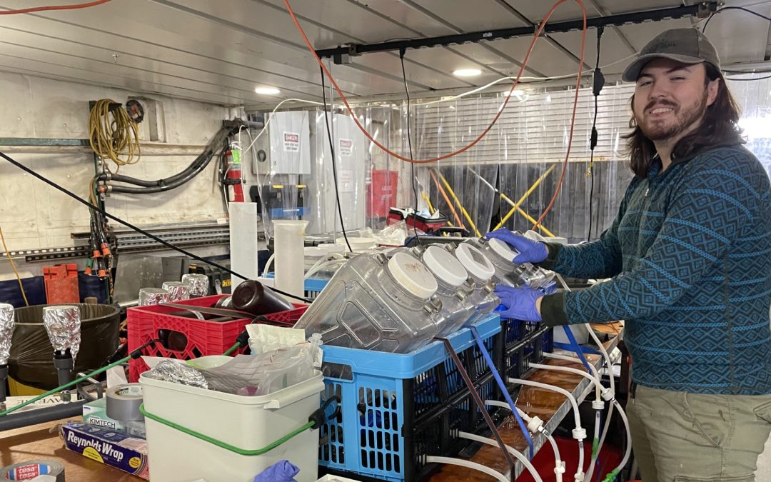 Microplastic Microcosm