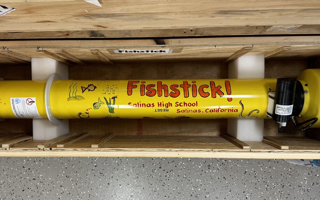 Fishstick!