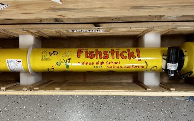 Fishstick!