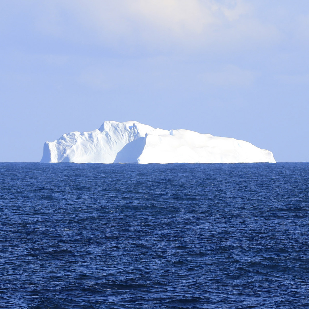 Another iceberg, bright white and beautiful in the sun