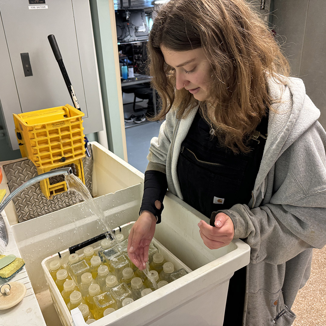 Jess rinses the crate of bottles after sampling