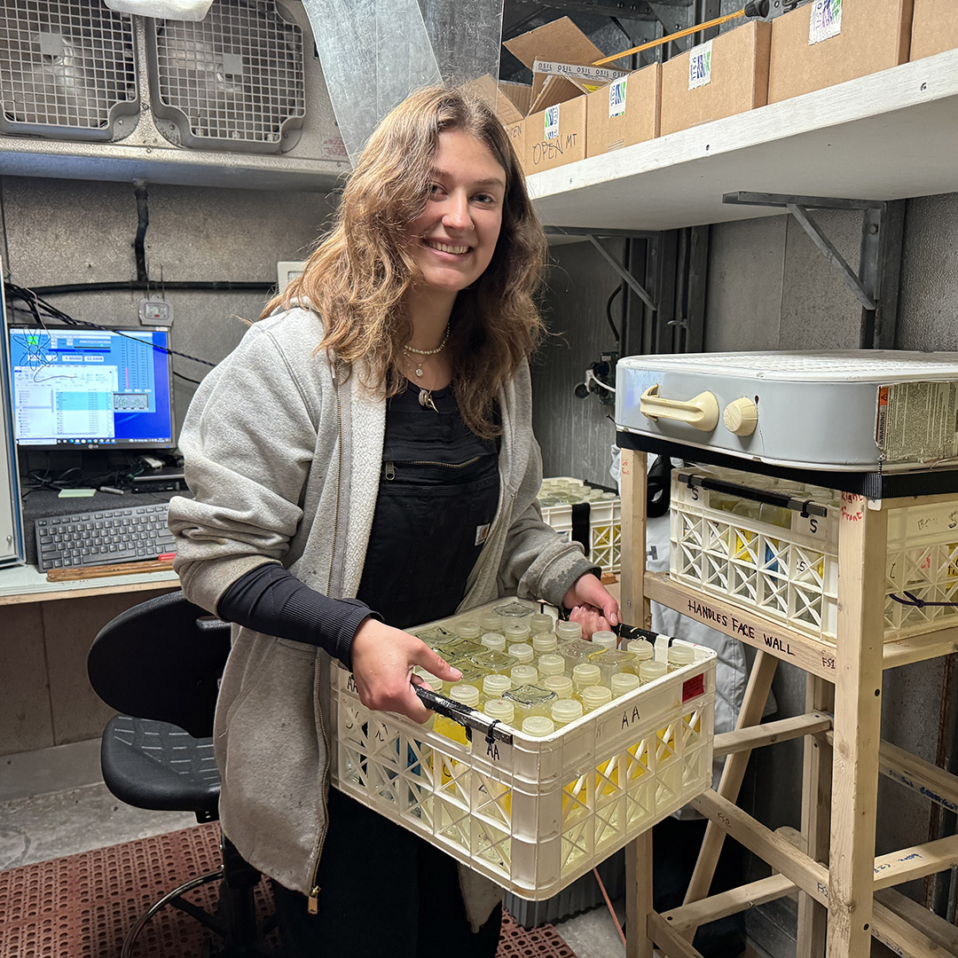 Jess places a crate of samples from one station into the rack, where it is brought to room temperature by a fan.