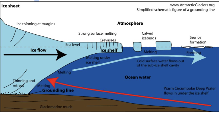 A diagram showing how an iceberg is formed. https://resources.arctickingdom.com/the-cycle-of-an-iceberg-from-glacier-to-the-ocean