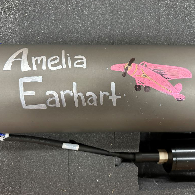 Artwork on adopted float Amelia Earhart