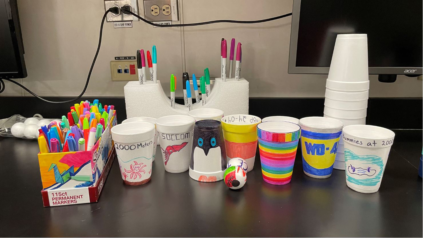 Beautiful cups all ready to shrink!