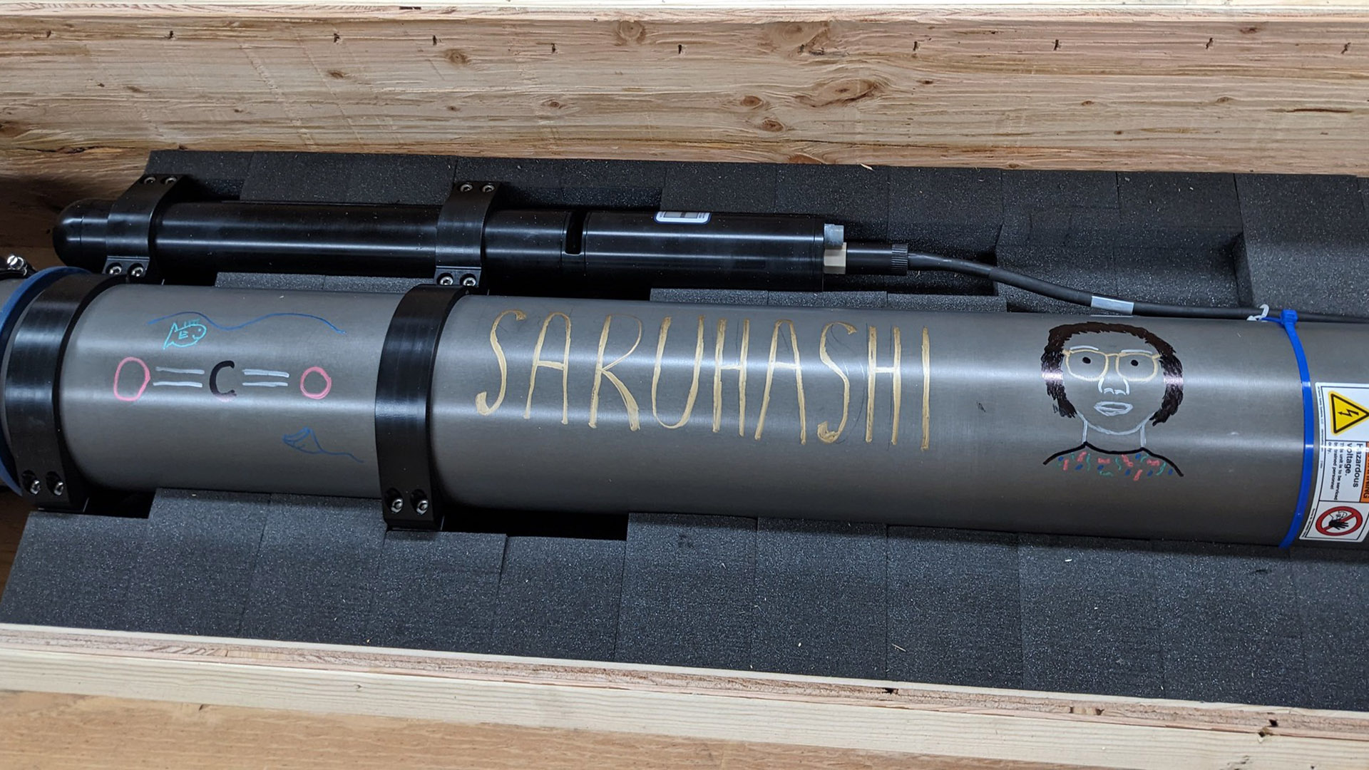 Saruhashi adopted float