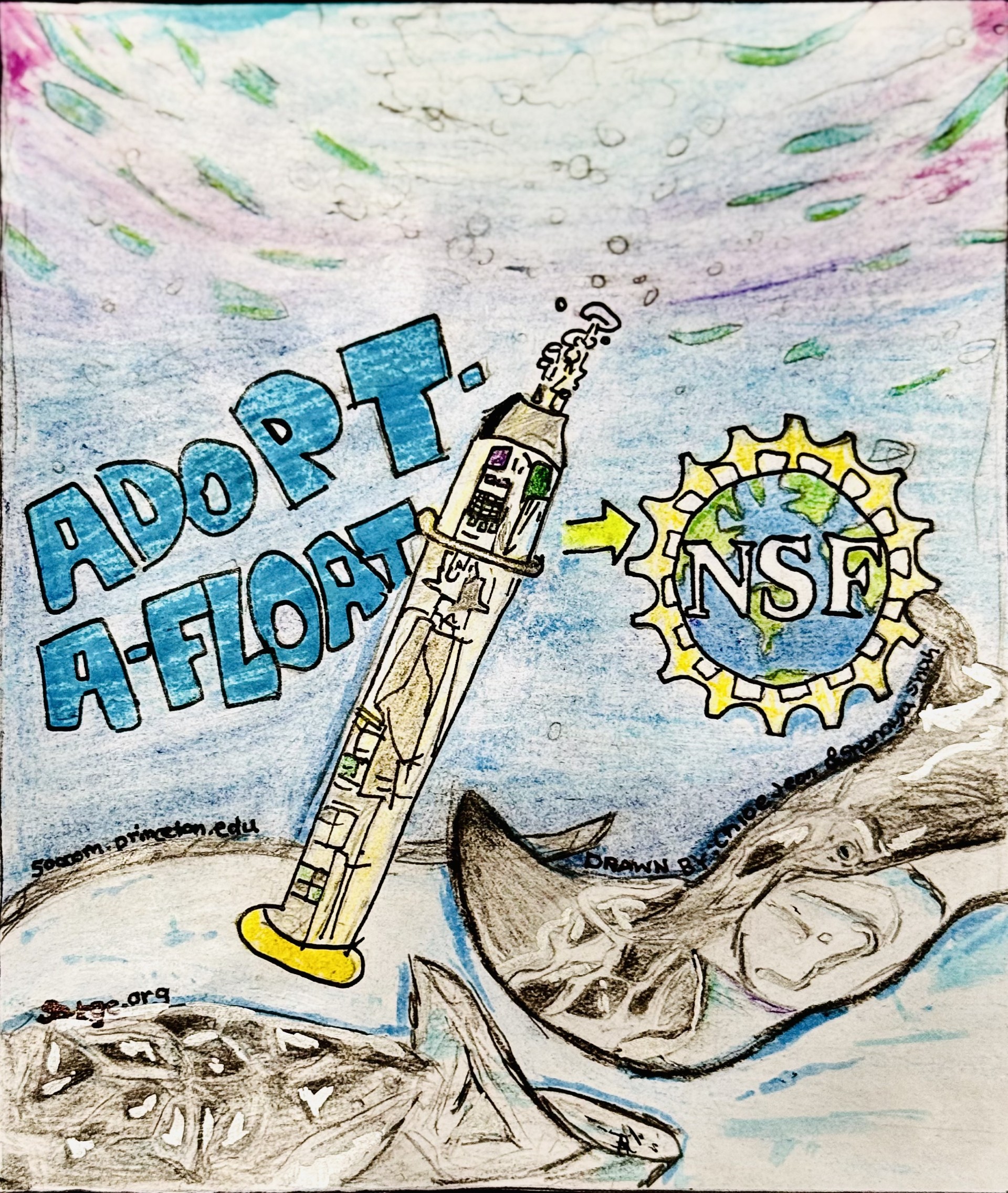 2024 sticker design winner by Emily Hamilton showing a float against a neutral background with Adopt a Float and the websites for GO-BGC and SOCCOM as well as the NSF logo.