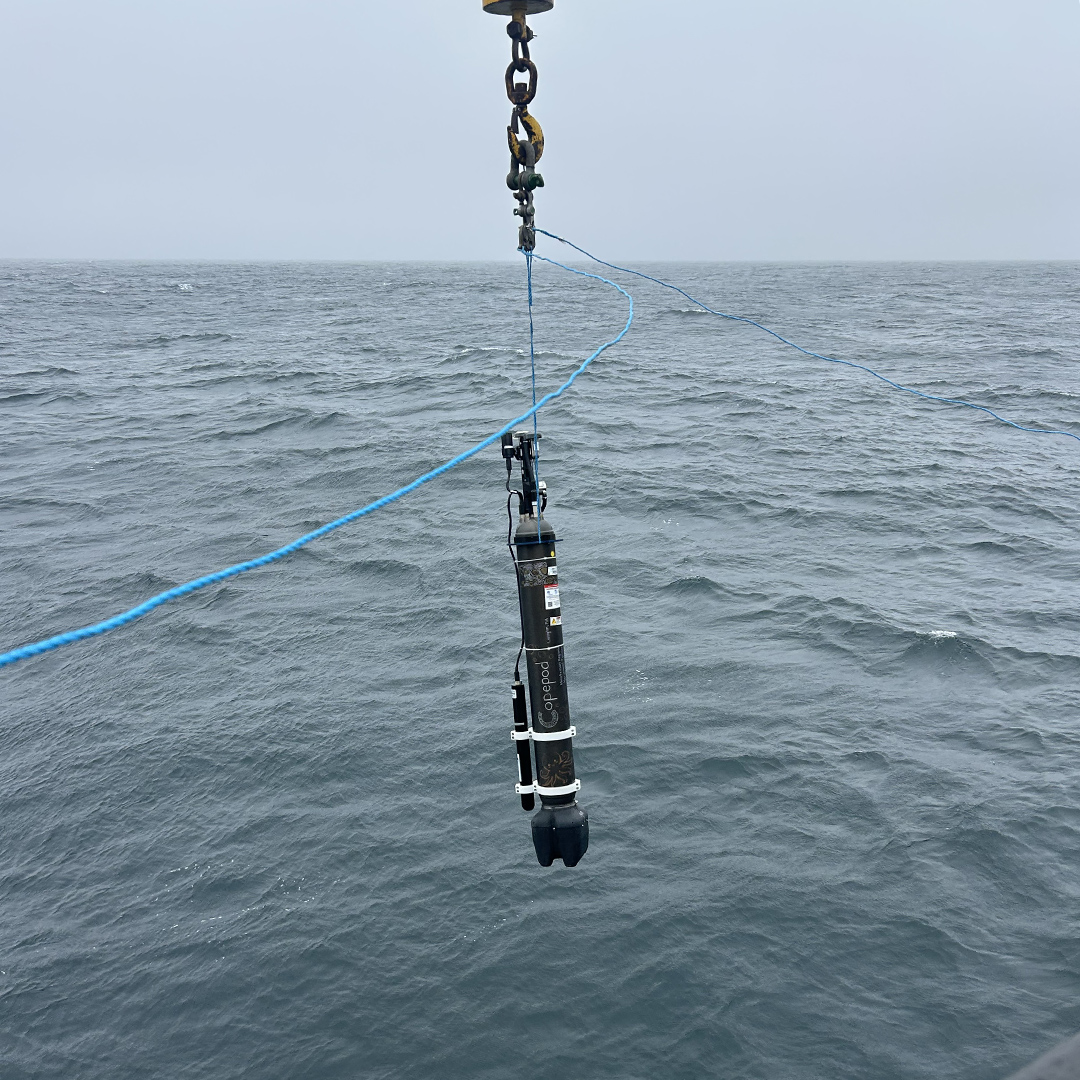 Deploying BGC Argo Float, ‘Copepod’ Off The Aft Deck Of The Ship Deploying BGC Argo float, ‘Copepod’ off the aft deck of the ship