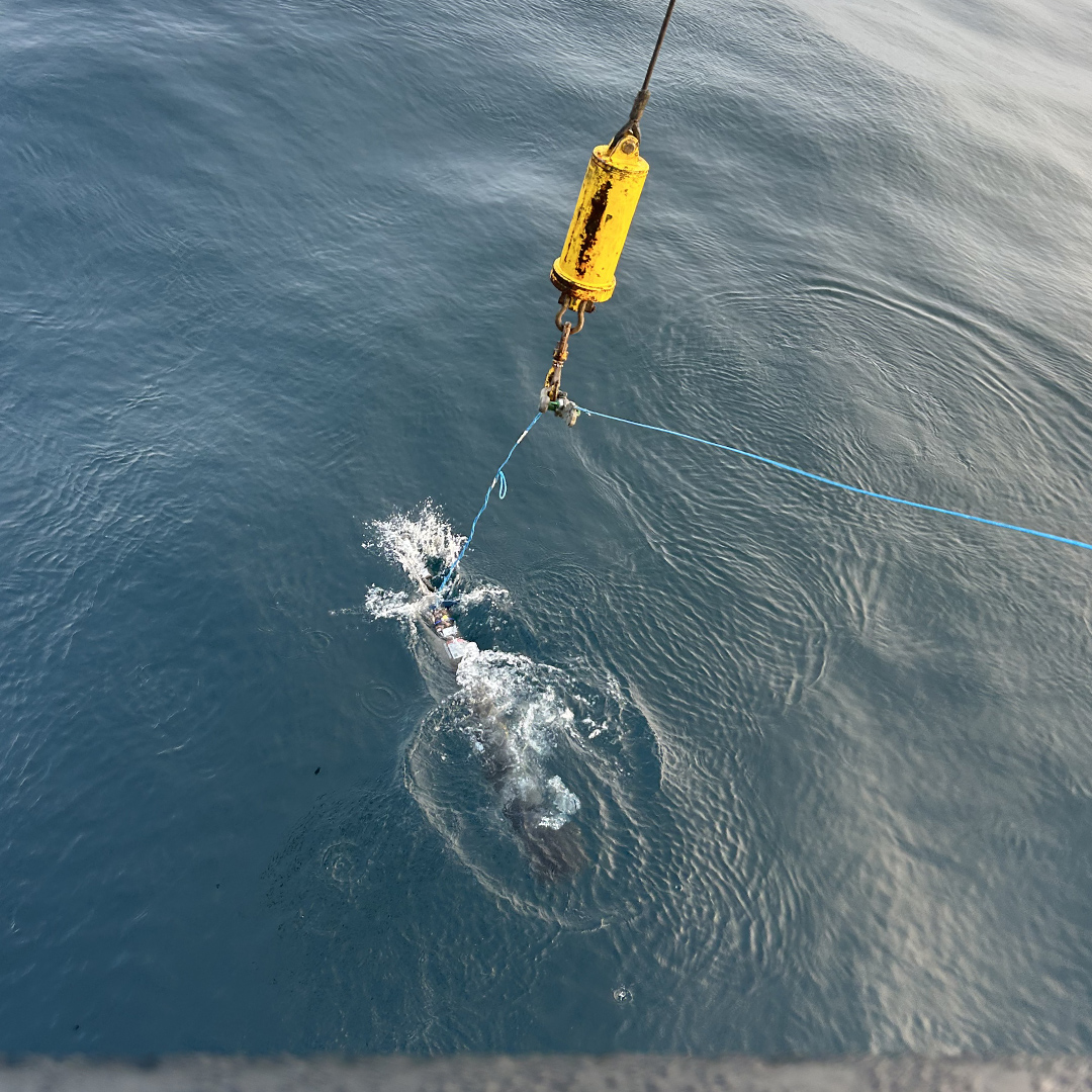 Scoopy Entering The Water During Deployment ‘Scoopy’ entering the water during deployment