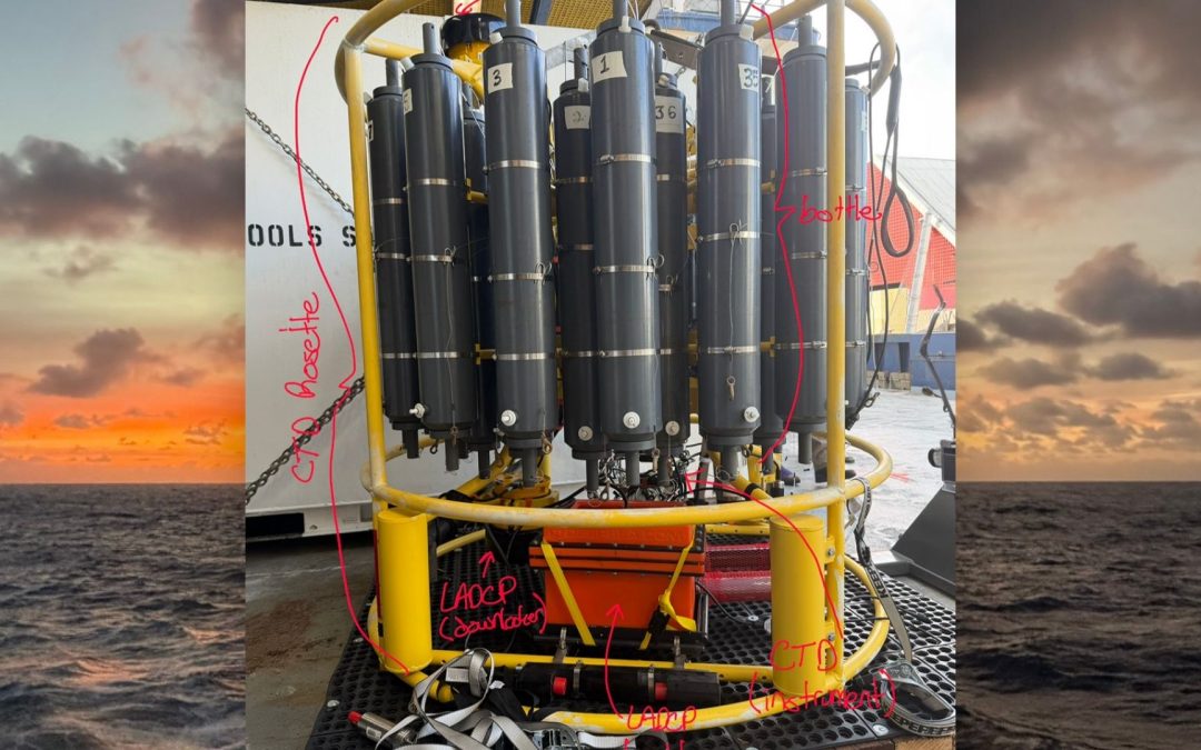 CTD Rosette