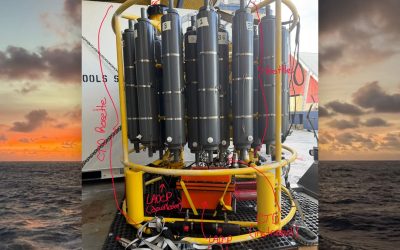 CTD Rosette