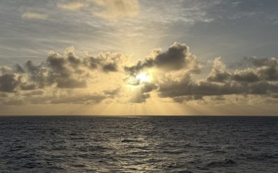 Tangible Ocean