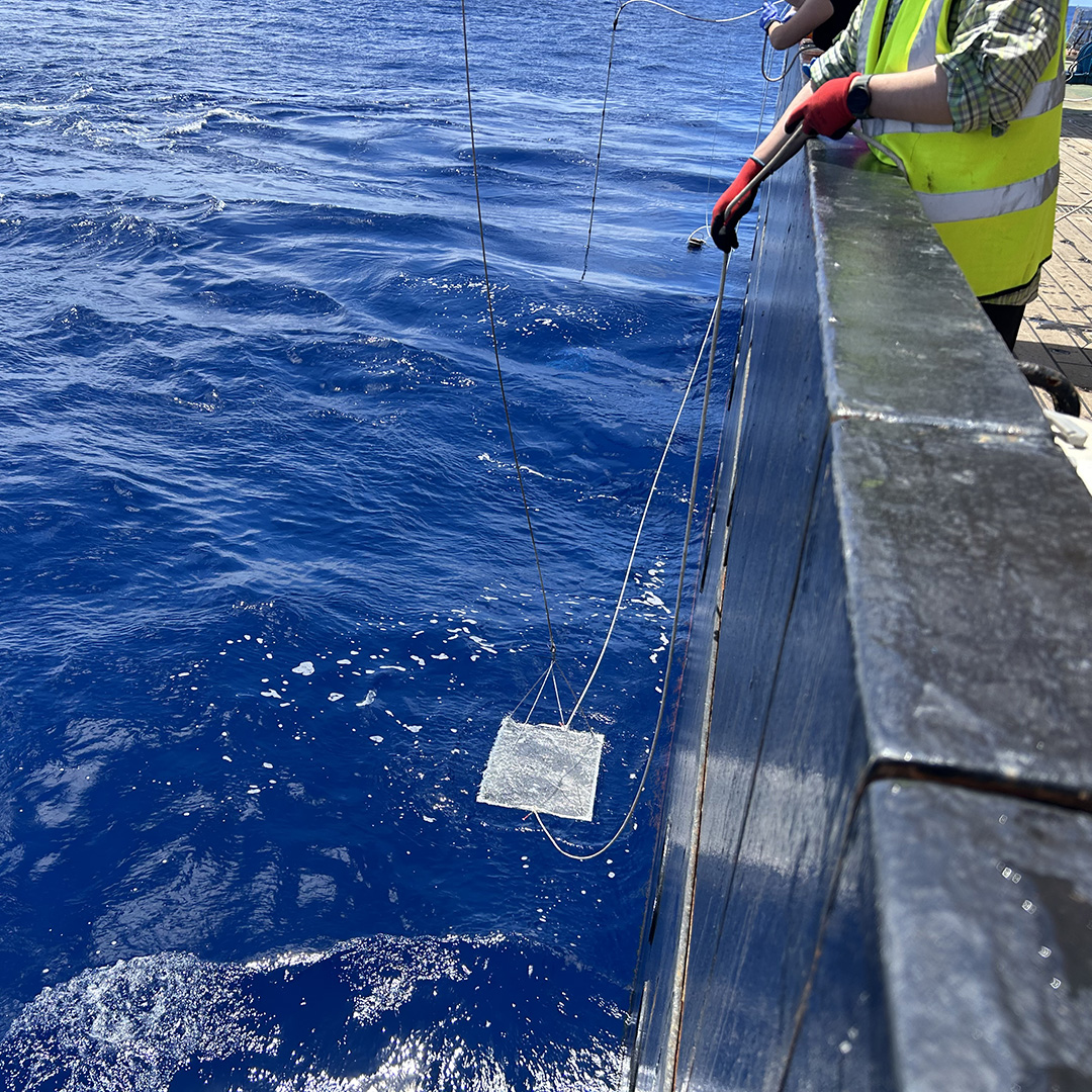 6.23 SML Ship Sq Sea surface microlayer (SML) sampling over the side of the ship directly from the ocean